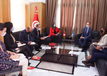 لقاء الوزيرة لدى رئيس الحكومة المكلفة بالوظيفة العمومية مع ممثل برنامج الأمم المتحدة الإنمائي بتونس: تجديد للشراكة وتثمين للعمل الثنائي